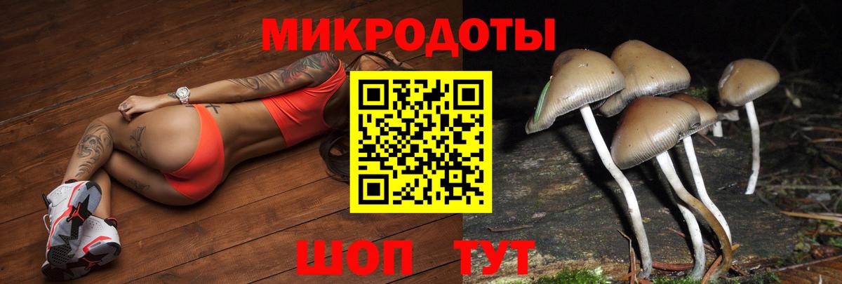 Псилоцибиновые грибы мицелий Шатура